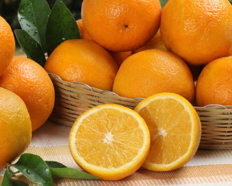 naranja-valencia1